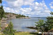 Top Gåseknöde