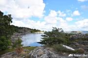 Top Gåseknöde