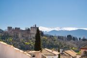 Top Granada