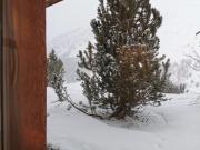 Top Arosa