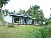 Top Bukit Lawang