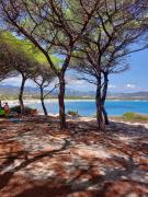 Top Limpiddu Top Limpiddu