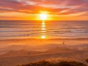 Top Gold Coast Top Gold Coast
