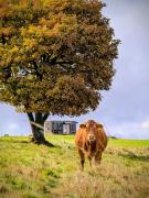 Top Hora Svaté Kateřiny