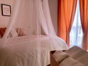 Petit Maison Saturnia