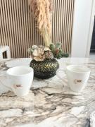 Top Kaposvár Top Kaposvár