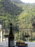 Top Pigna