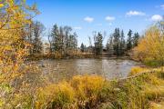 Top Silverthorne