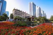 Top Shenzhen