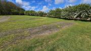Top Blandford Forum