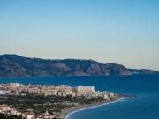 Top Torrox Top Torrox