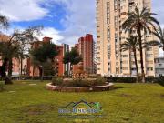 Playmon Patrick Paradise