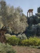 Top Agrigento