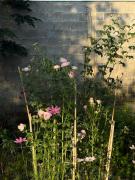 Phong Tom Retreat - Pet friendly location