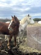 Top La Celle-sous-Gouzon