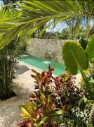 Top Bacalar