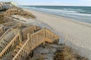 Top Surf City