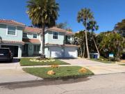 Top Siesta Key
