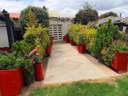 Top Samacá
