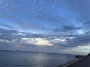 Top Yantai