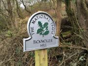 Top Williton