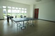 Top Gelugor