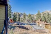 Top Alpine Meadows