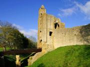 Top Wootton Glanville