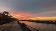 Top Salerno