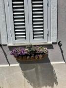 Top Cisterna di Latina