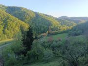 Top Bogunovac