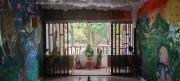 Jungle House Medellin