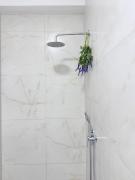 Top Tirane Top Tirane