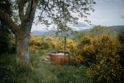 Top Aberfeldy
