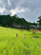 Top Da Lat