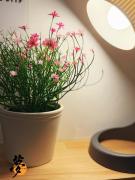 Yume夢 北堀江店 一棟まるごと貸切