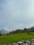 Apartamentos Villa García