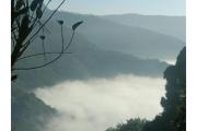 Top Nainital