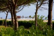 Top Argelès-sur-Mer