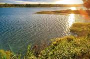 Top Blattnicksele
