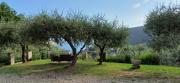 Top Moneglia