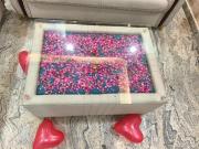 Top Greater Noida