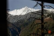 Top McLeod Ganj
