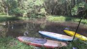 Top Campo Largo