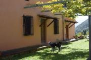 Top Spoleto