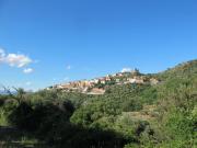 Top Puntone di Scarlino