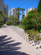 Top Alicante