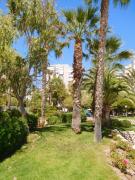 Top Alicante