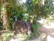 Green Place Hikkaduwa