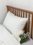 4인 대구 반월당 동성로 중구 편안한 화이트 스테이